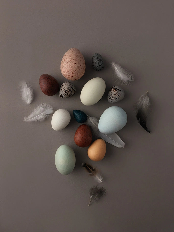 A Dozen Bird Eggs in A Box