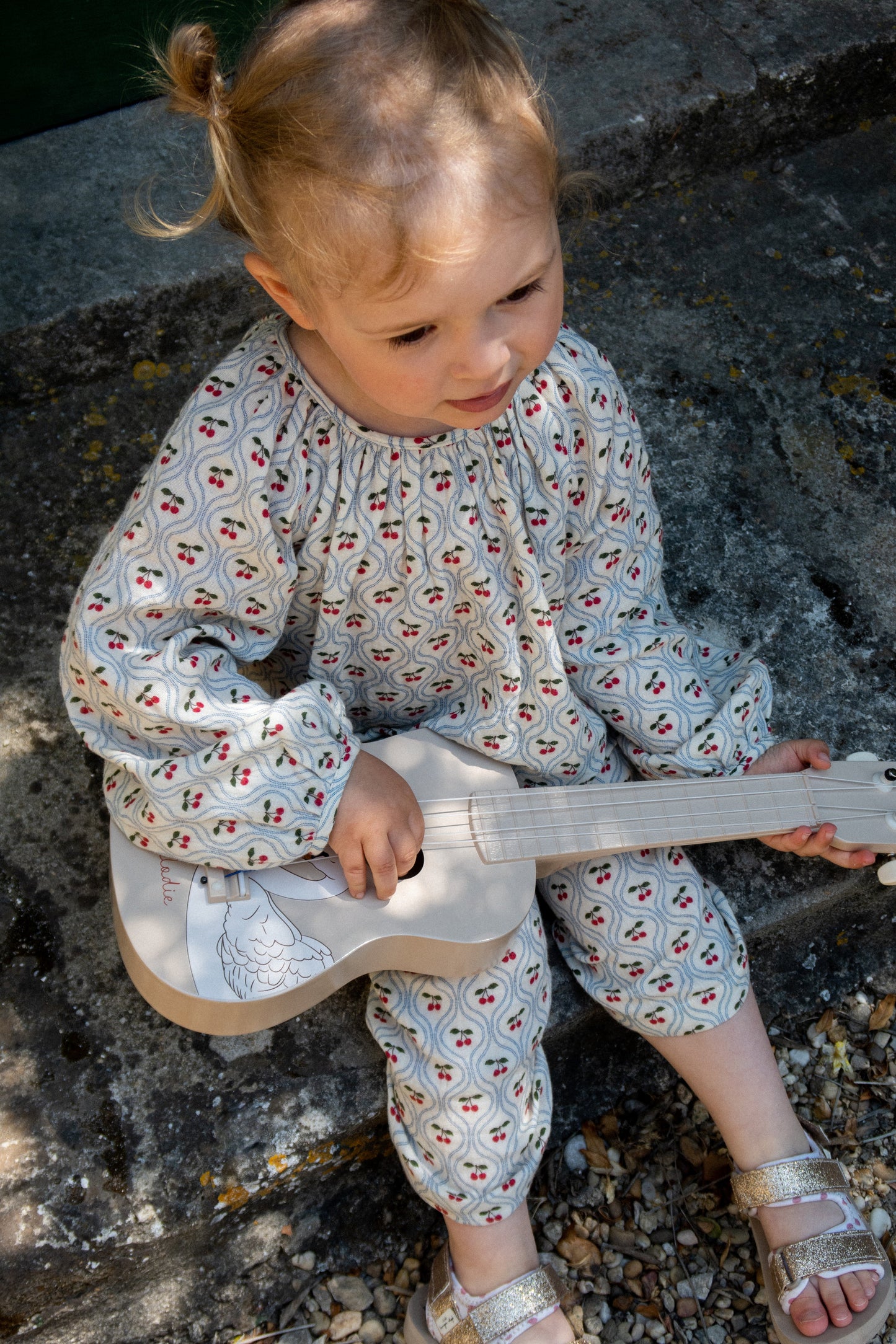 Ukulele fsc - swan