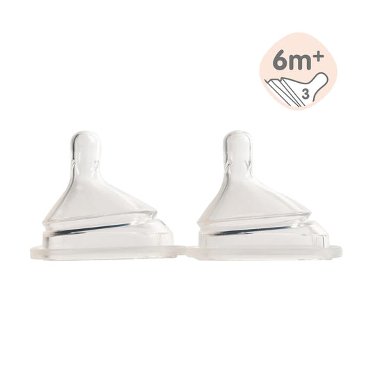 Hegen Nipple Fast Flow, 2-Pack (6 months and beyond)